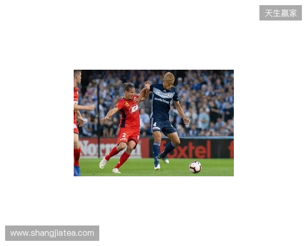 4名澳超球员入选澳大利亚3月大名单，墨尔本城占两席