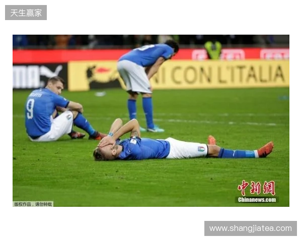 再次无缘世界杯,意大利足协明日召集各方开大会 再次无缘世界杯,意大利足协明日召集各方开大会