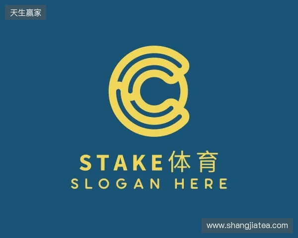 认识Stake官方