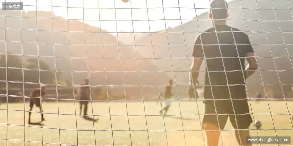 📱【指尖掌控】一键切换赛场,精彩永不缺席!